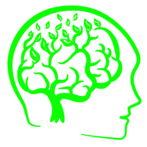 Evolution of Thinking - Sebastian S.