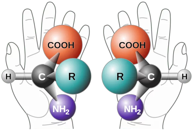 Chirality_with_hands.svg_