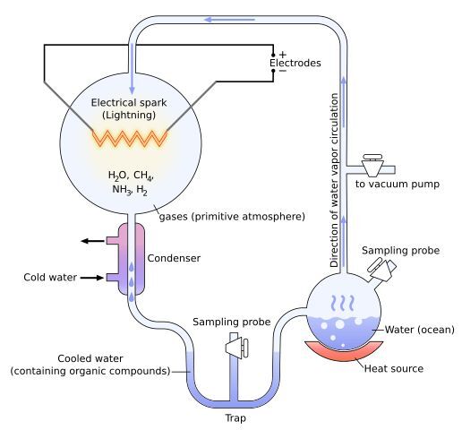 Miller-Urey_experiment-en.svg_