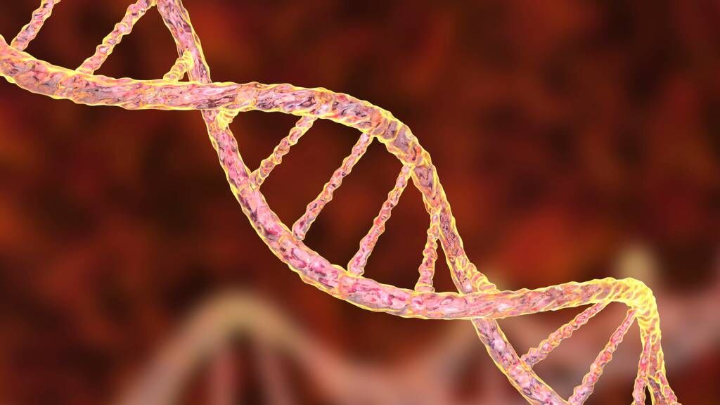 genetic code