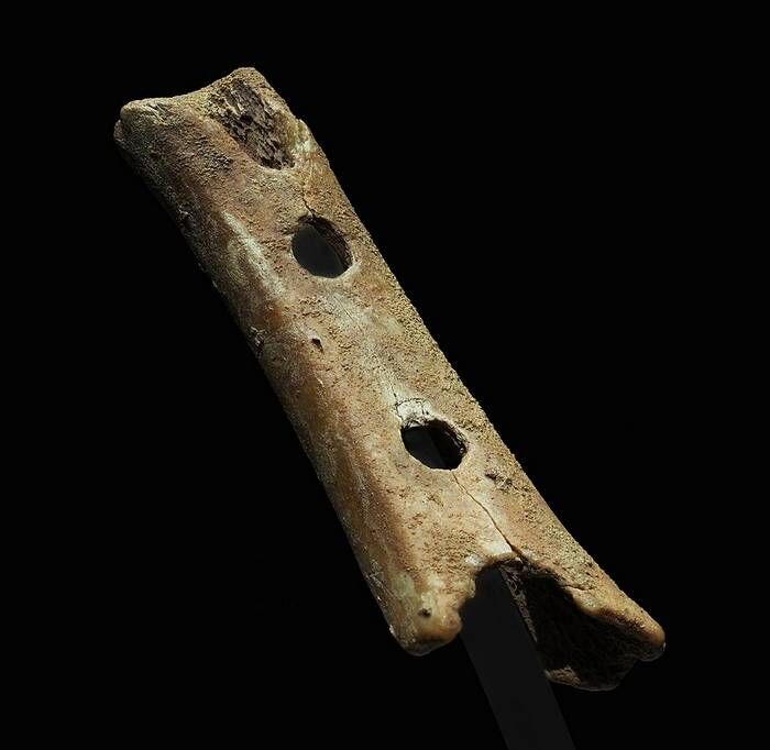 Divje_Babe_flute_(Late_Pleistocene_flute)