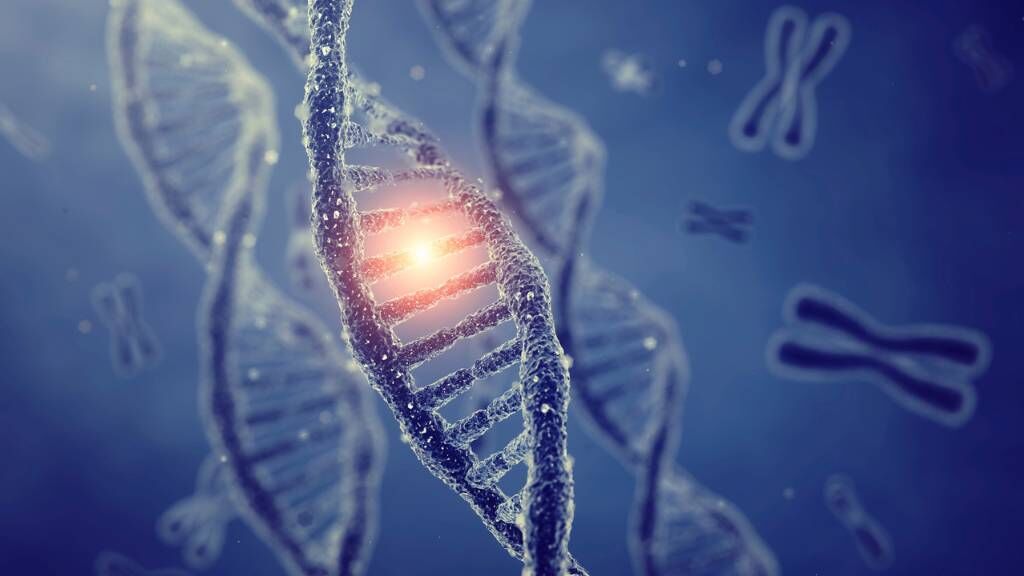 Genetic Code