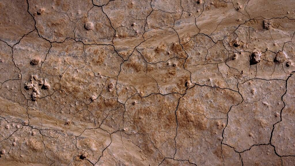 dead earth
