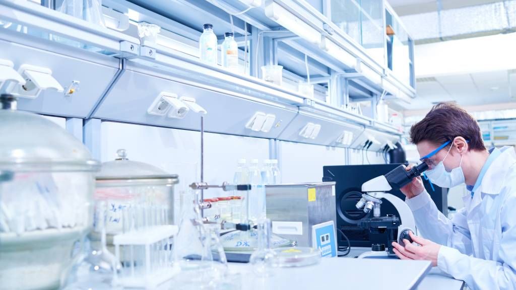 Tracing the Origins of Metabolic Pathways