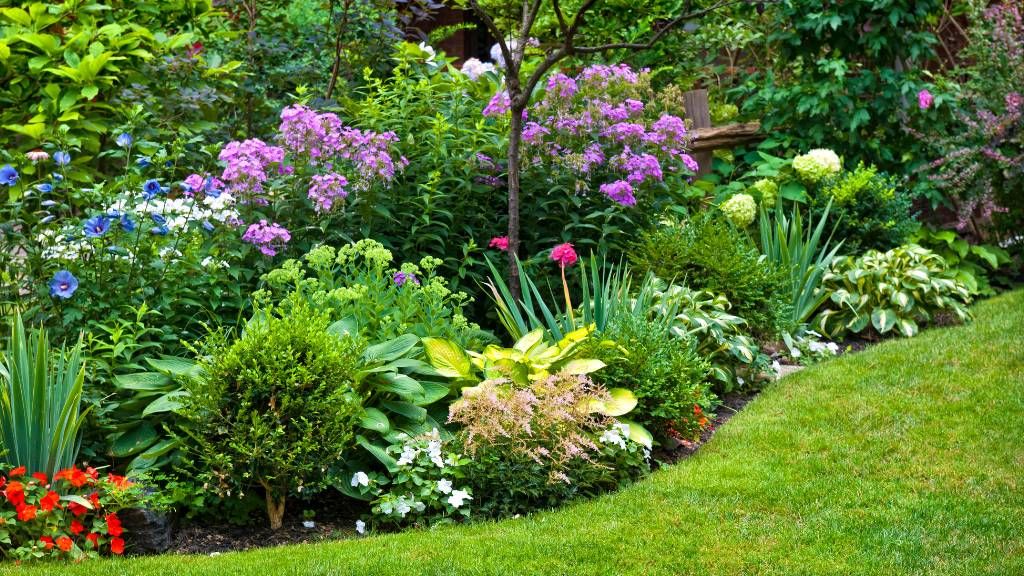 green garden