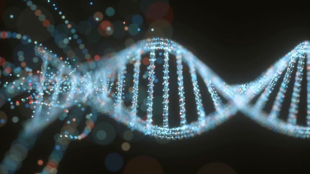 DNA