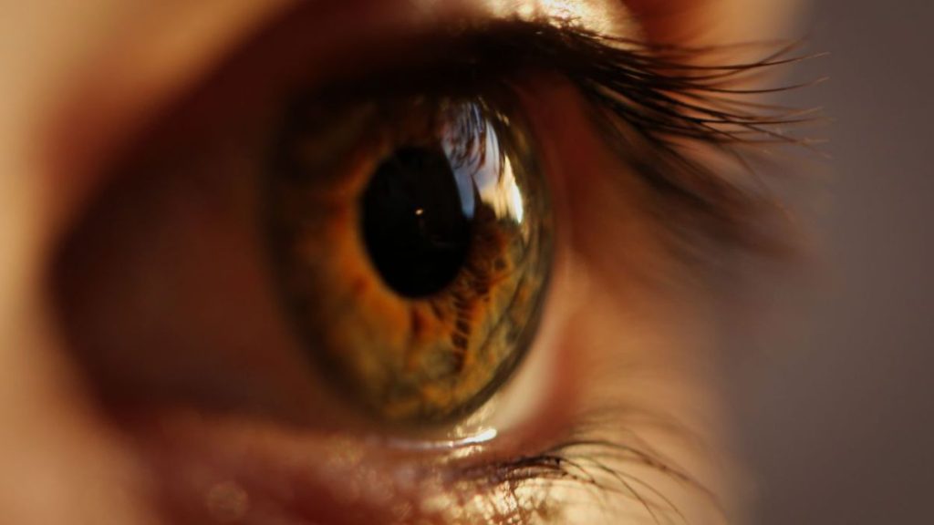 Eye
